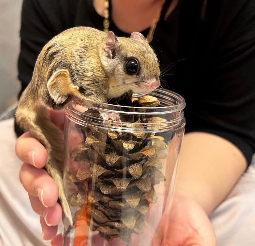 kleintierwelthome.de