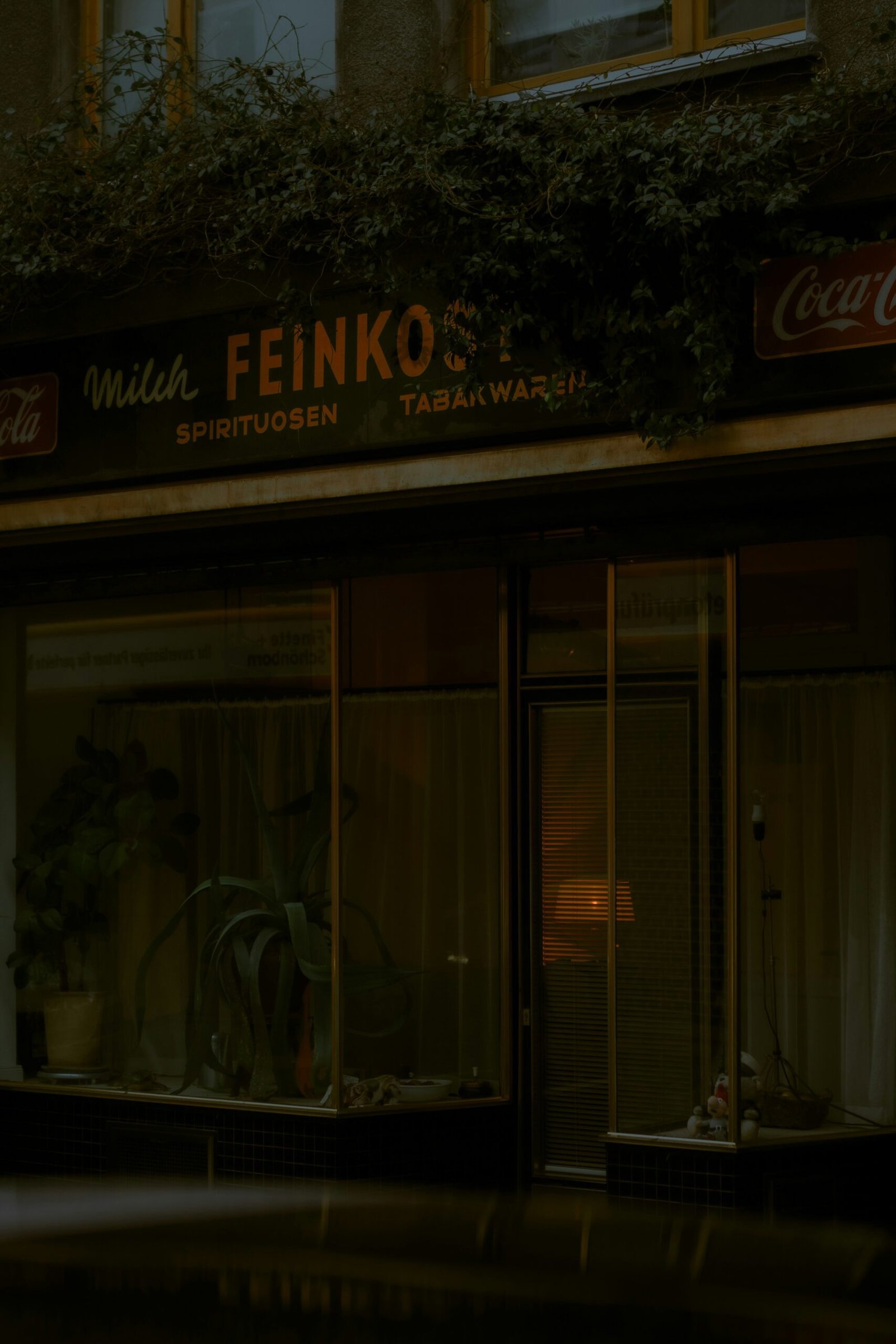 a store front with a plant growing out of the window